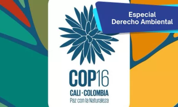 Colombia-COP-16(archivoparticular)