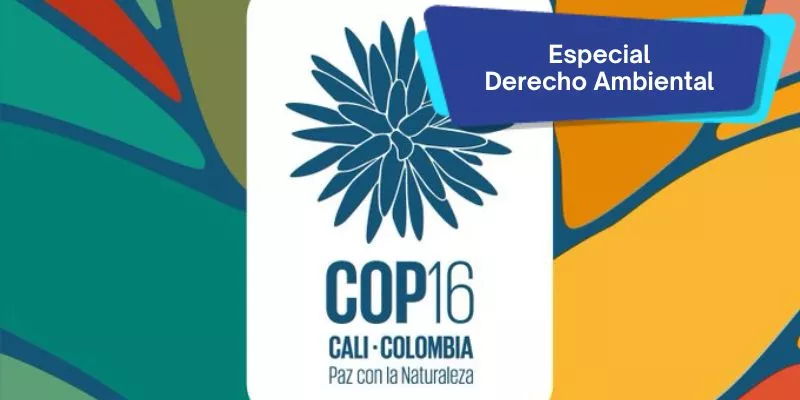 Colombia-COP-16(archivoparticular)