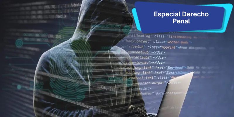 Protección de datos y derecho penal