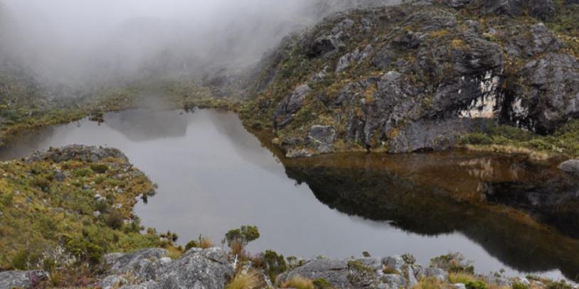 /sites/default/files/2025-08/Santurban-Paramo-Berlin%20%28Minambiente%29.jpg