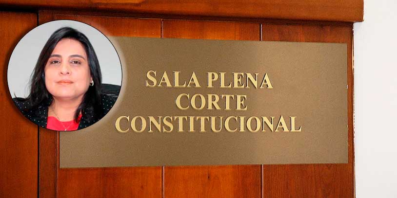 Paola Andrea Meneses, nueva magistrada de la Corte Constitucional (Humberto Pinto)