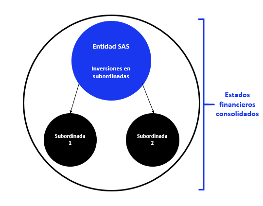 Entidad SAS