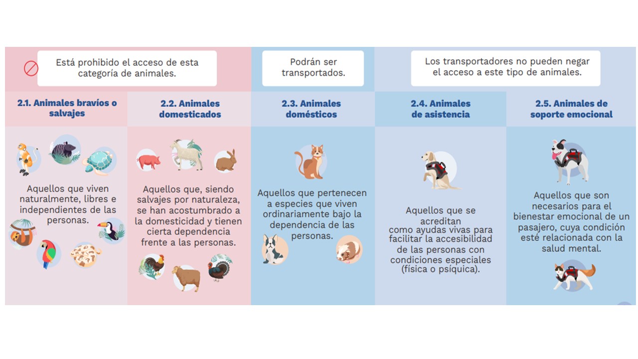 Transp animales