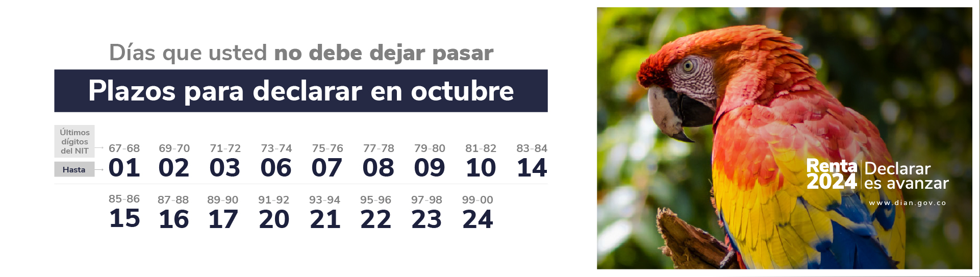 Plazo octubre