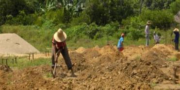Conceden tutela a víctima de desplazamiento por larga espera en materialización de fallo de restitución de tierras (Alcaldía)