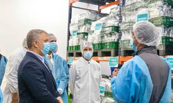 Expiden decreto que autoriza exportación de flor seca de cannabis con fines medicinales (Presidencia)