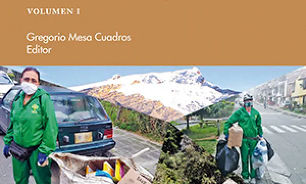 Derechos ambientales y afectaciones en tiempos de crisis ambiental y pandemia