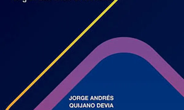 Legitimación de las medidas de aseguramiento en el proceso penal colombiano con especial referencia a organizaciones criminales