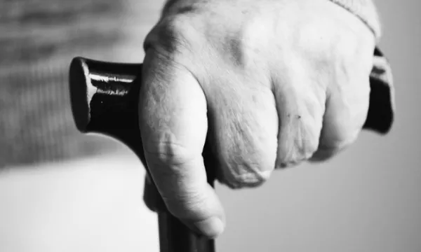 Desorganización en datos de la historia laboral no puede repercutir negativamente en el trabajador (Freepik)