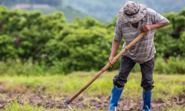Se creó el Sistema Nacional de Insumos Agropecuarios y se fortalece el financiamiento a pequeños productores (Fiduagraria)