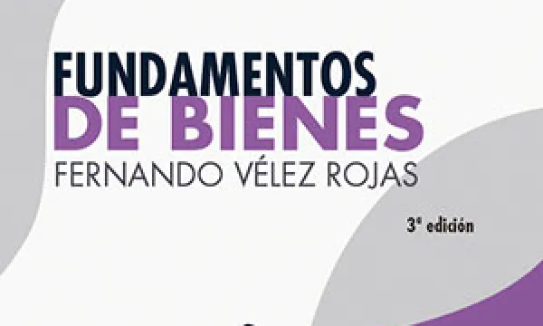 Fundamentos de bienes. Tomo I
