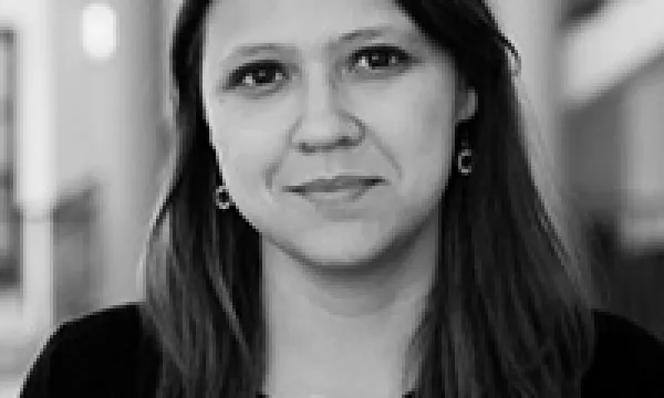 Complementariedad en la recta final del caso Unión Patriótica ante la Corte IDH: el rol de la JEP y la Comisión de la Verdad