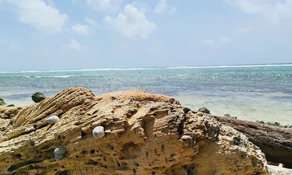 playa-mar-sanandres(juanrojas)(5)