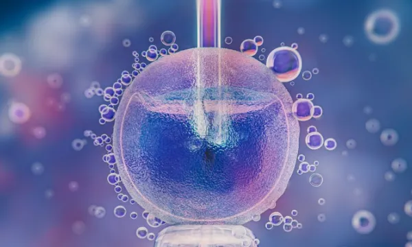 embrion-embarazo-trha(freepik).jpg