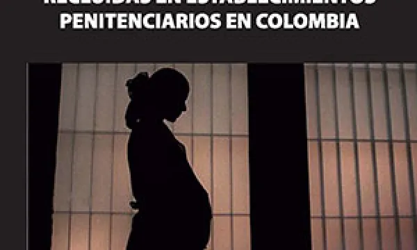 Vulneración de los derechos fundamentales en las mujeres embarazadas recluidas en establecimientos carcelarios de Colombia