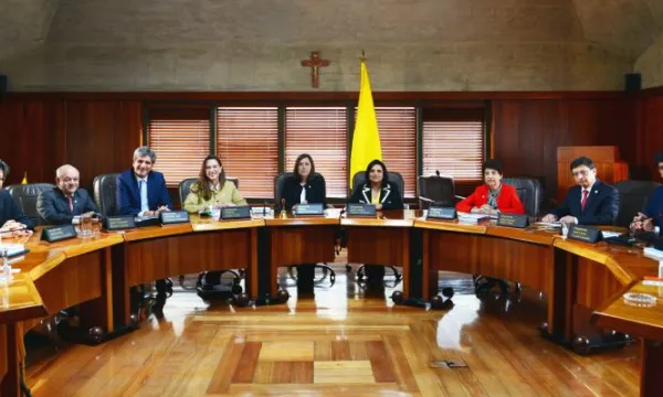Salaplena-CorteConstitucional-2023.jpg