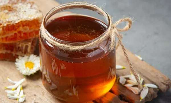Proyecto prevé los requisitos que debe cumplir la miel de abejas para consumo humano (Freepik)