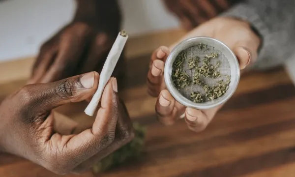 Esta es la ponencia para el tercer debate del proyecto que regulariza el cannabis (Rawpixel)