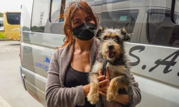 Medidas de las empresas de transporte público para transportar mascotas deben ser objetivas y razonables (Alcaldía)