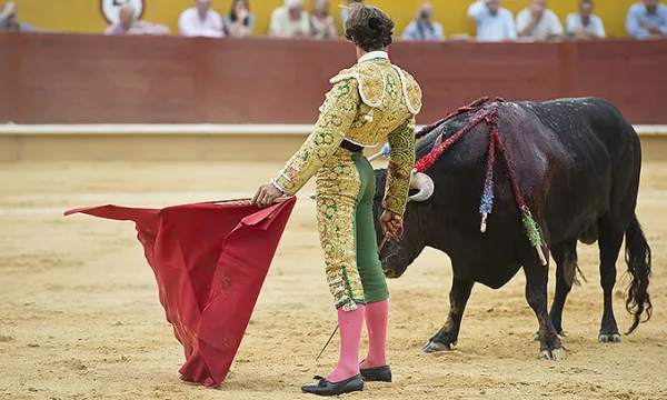 toros-corridas-torero1(big)