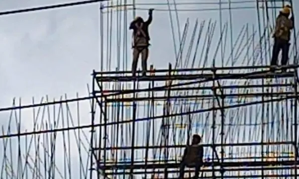 Empresas deben realizar registro anual de estándares mínimos