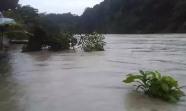 Confirman sanción por más de $ 203 mil millones por grave daño ambiental que sufrió el río Anchicayá (GobernacionValle)