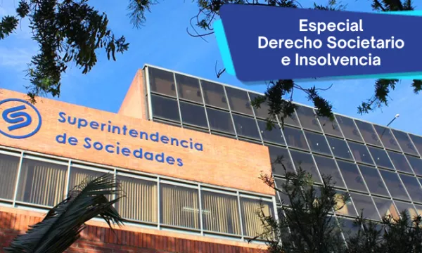 El Decreto-Ley 4334 del 2008 y la vulneración de derechos fundamentales en el derecho societario (Supersociedades)