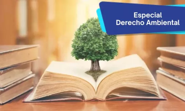 Etiqueta-Especiales-Informe.jpg