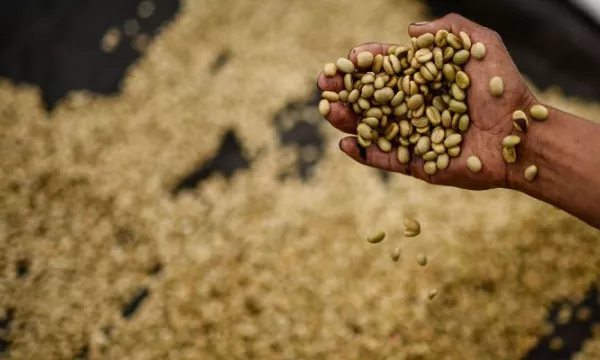 Exportaciones agropecuarias colombianas crecieron un 13,1 % en julio (Presidencia)