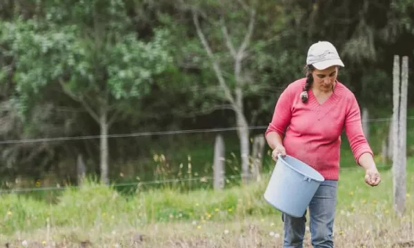 Gobierno identificó zonas clave para la producción de alimentos en Antioquia (Minagricultura)