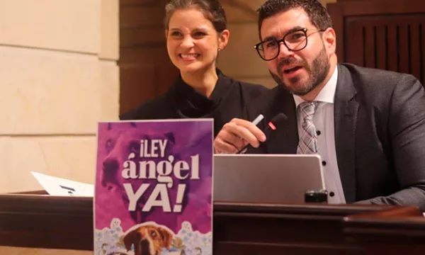 LEY-ANGEL-YA(Camaraderepresentates)