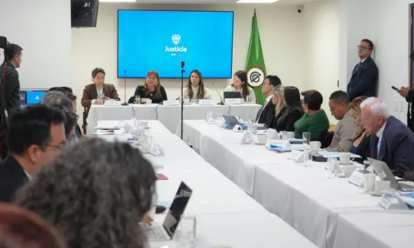 Comisión de expertos presentará borrador de ley contra la violencia de género (Minjusticia)
