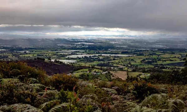 Tutela-para-proteger-Sabana(Minambiente).jpg
