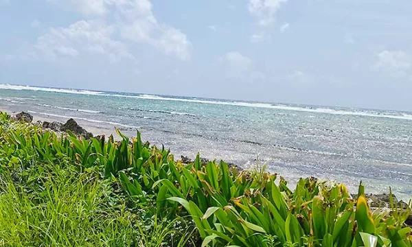 playa-mar-sanandres(juanrojas)(1)