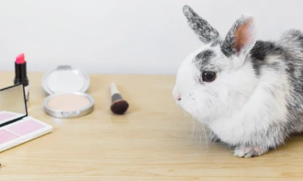 Gobierno deberá reglamentar en seis meses prohibición de experimentar cosméticos con animales (Freepik)