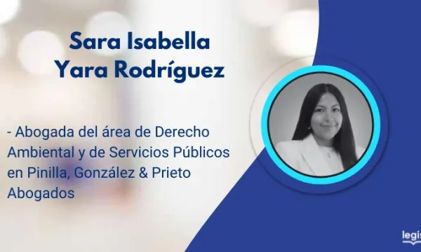 Energía limpia y exoneración de licencias ambientales