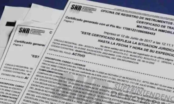 Exigir certificado especial que acompañe la demanda de pertenencia configura exceso ritual manifiesto (Alcaldía de Bogotá)
