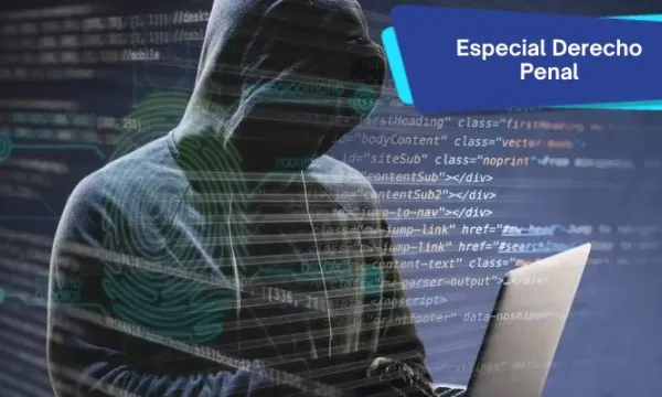 Protección de datos y derecho penal