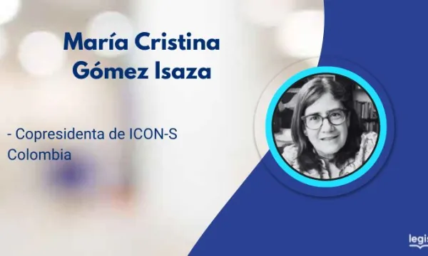 ¿La Constitución tiene la culpa?
