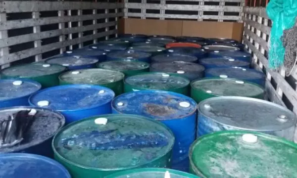 Inexequibles medidas para limitar uso de sustancias y productos químicos controlados en El Catatumbo (Policía Nacional)