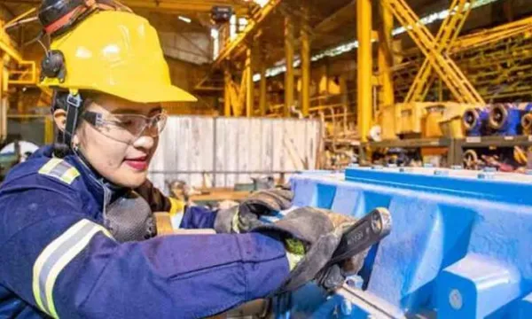 Conozca la calculadora de huella de carbono empresarial (Mincit)