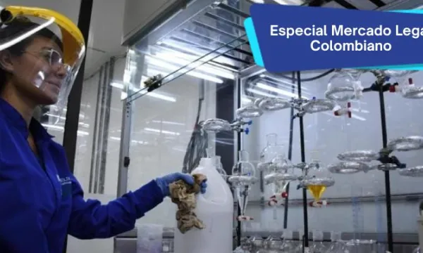 El rol estratégico de las firmas de abogados ante la reforma laboral