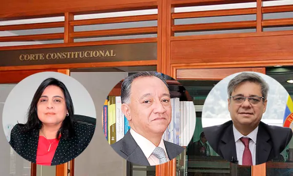 corteconstitucional-ventanilla-palaciodejusticiagg-terna.png