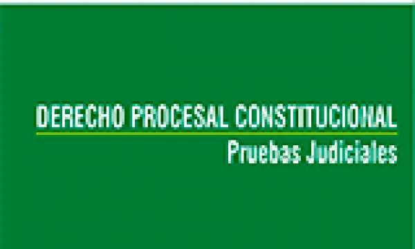 derecho-procesal-constitucional2.jpg