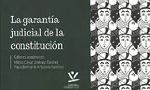garantia-judicial-constitucion.jpg