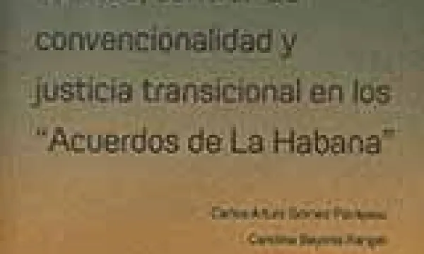 libertad-control-convencionalidad.jpg
