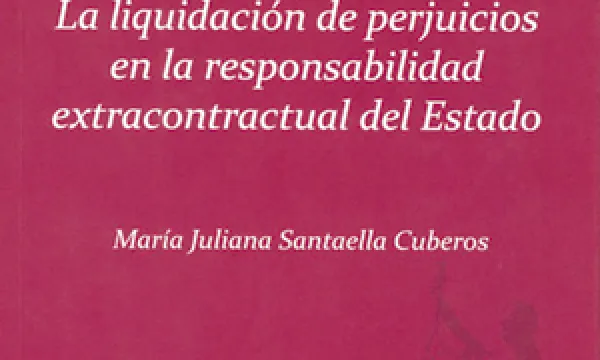liquidacion-perjuicios-responsabilidad.png