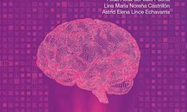 manual-practico-sistema-penal.jpg