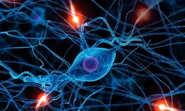 maquina-humana-neurocienciaarchivoparticular.jpg