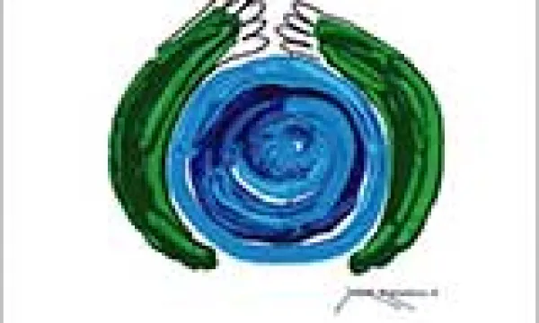 naturaleza-sujeto-derechos.jpg